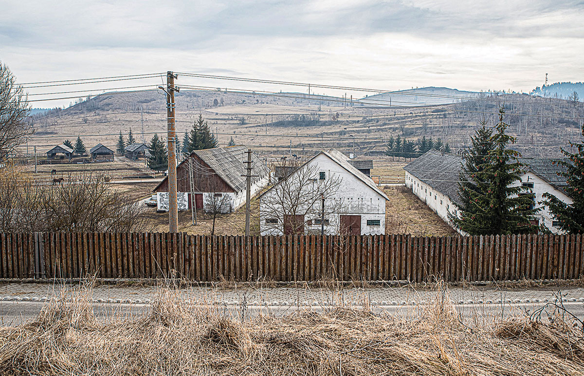 Lovasterápiás központ